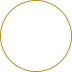 LinkedIn Icon